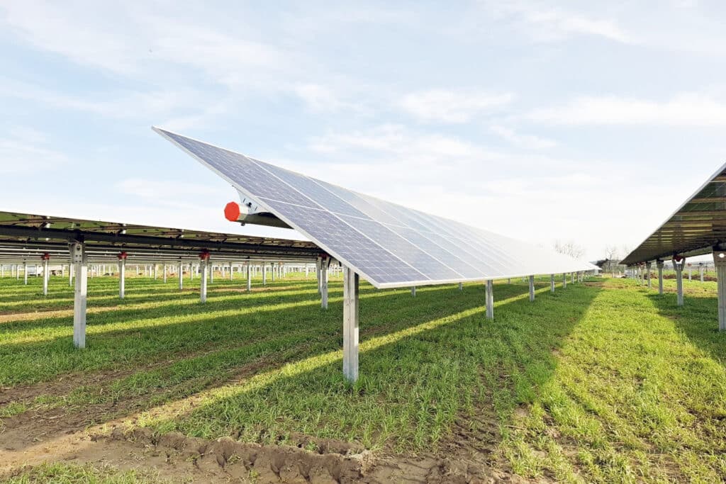 Agri-PV-Anlage mit erhöht montierten Solarmodulen über begrüntem Ackerland, Reihenkonstruktion auf Pfosten zur gleichzeitigen Nutzung für Landwirtschaft und Solarstromerzeugung.